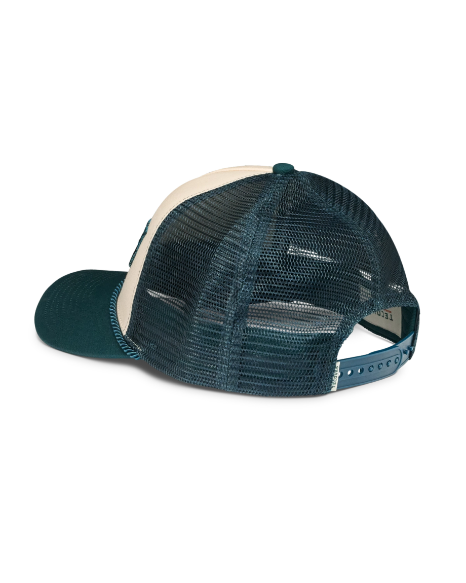 Alternative view of Howdy Trucker