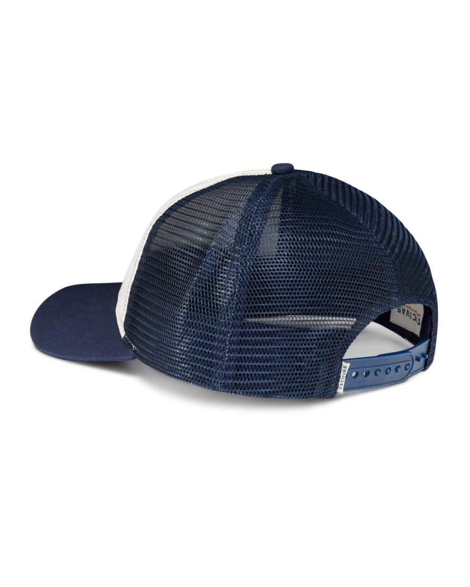 Alternative view of Let's Rodeo Trucker